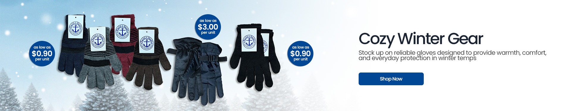 BSE Winter Gloves 2025