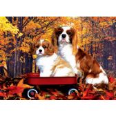 Interior Decore with Wholesale 3D Pictures