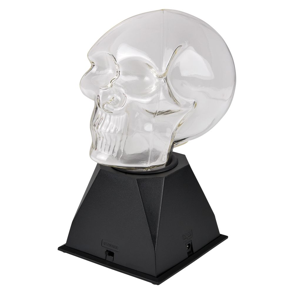 8 Bulk Plasma Skull 9.5" 8/19