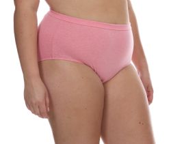 36 Bulk Women's Fruit Of Loom Brief Underwear, Size 1xl