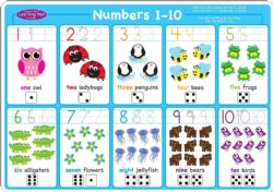 24 Bulk Smart Poly Learning Mat 12"x17", DoublE-Sided, Numbers 1-10