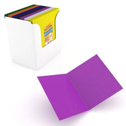 48 Bulk 2 Pocket poly folder no holes matt Shiny Assorted colors