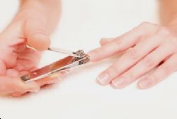 144 Bulk 3-Piece Stainless Steel Nail Clipper Set