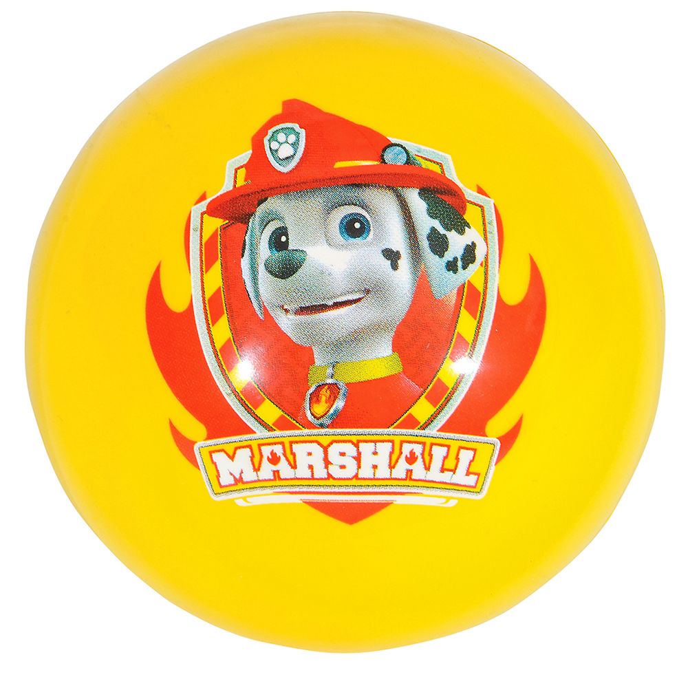 100 Bulk 5" Paw Patrol Vinyl Ball (100pc/case)