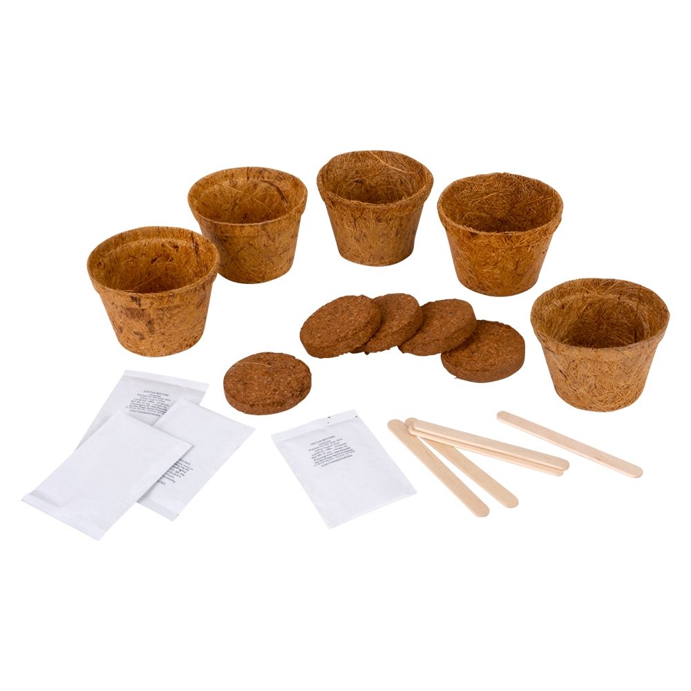 8 Bulk Grow It Cactus