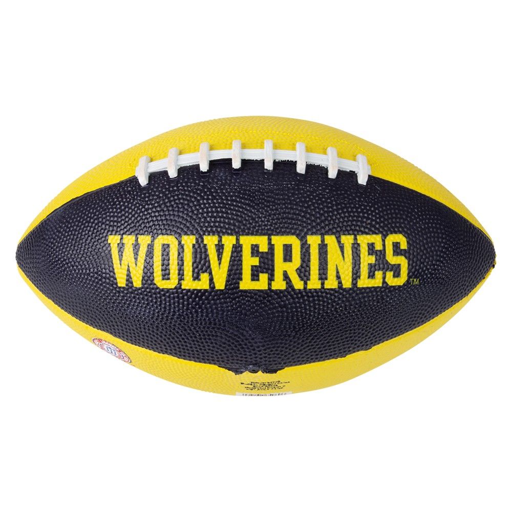 36 Bulk 10" Michigan Football