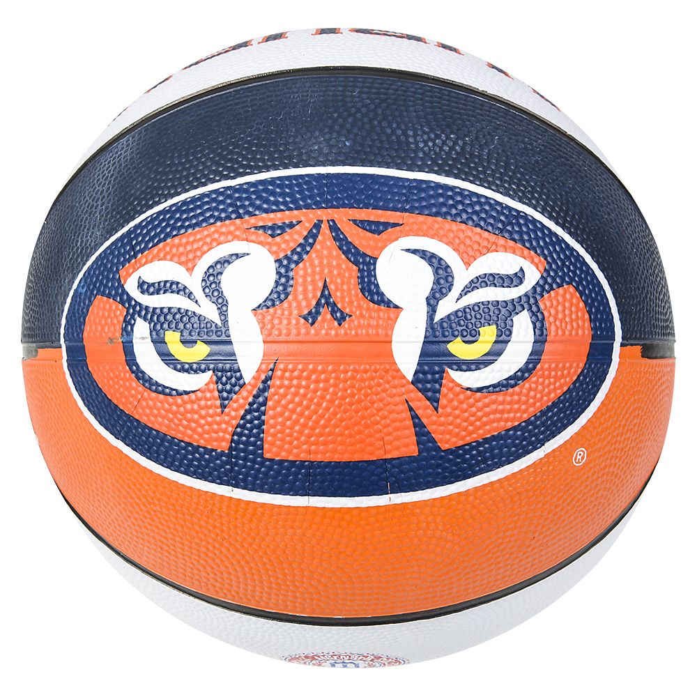 25 Bulk (t) 9.5" Auburn Regulation Basketball
