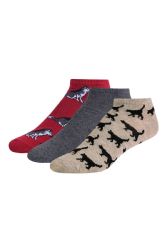 480 Bulk Men's Novelty Ns 10-13