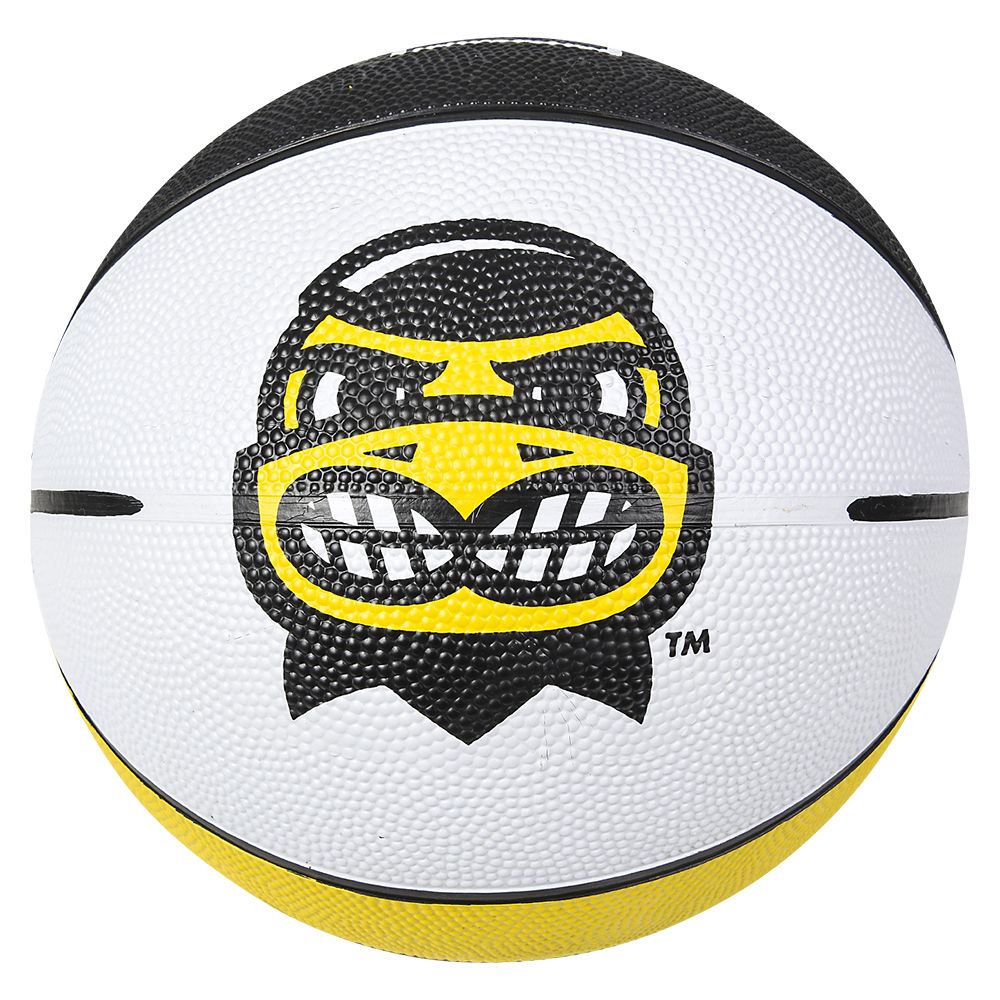 25 Bulk (t) 9.5" Iowa Reg Basketball