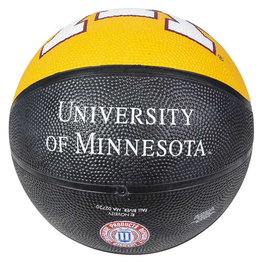 25 Bulk 9.5" Minnesota Reg Basketball