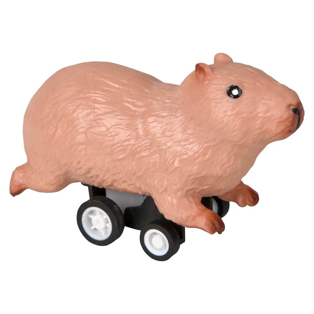 288 Bulk 2.5" Pullback Capybara
