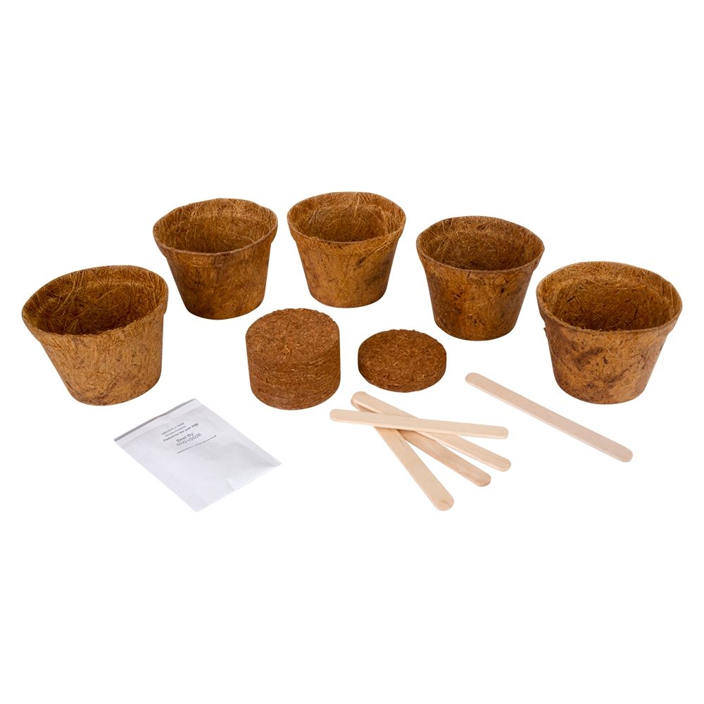 8 Bulk Grow It Carnivorous Plants