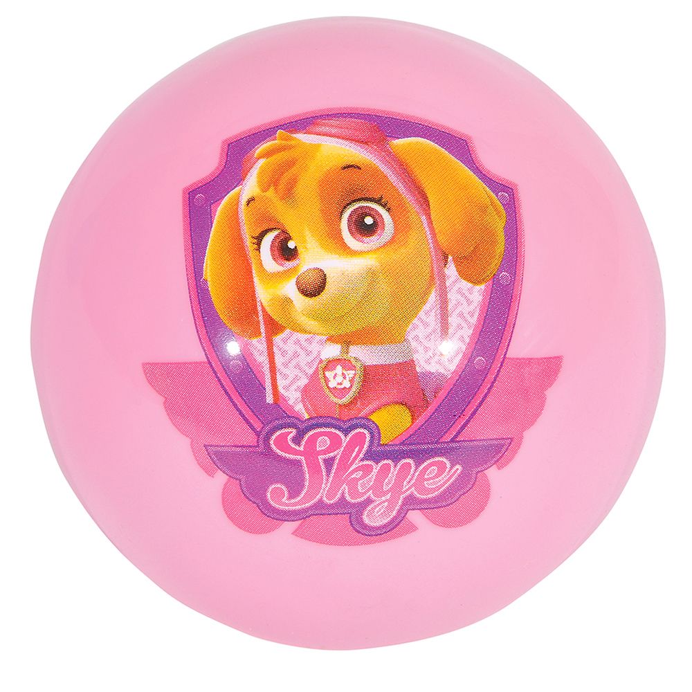 100 Bulk 5" Paw Patrol Vinyl Ball (100pc/case)