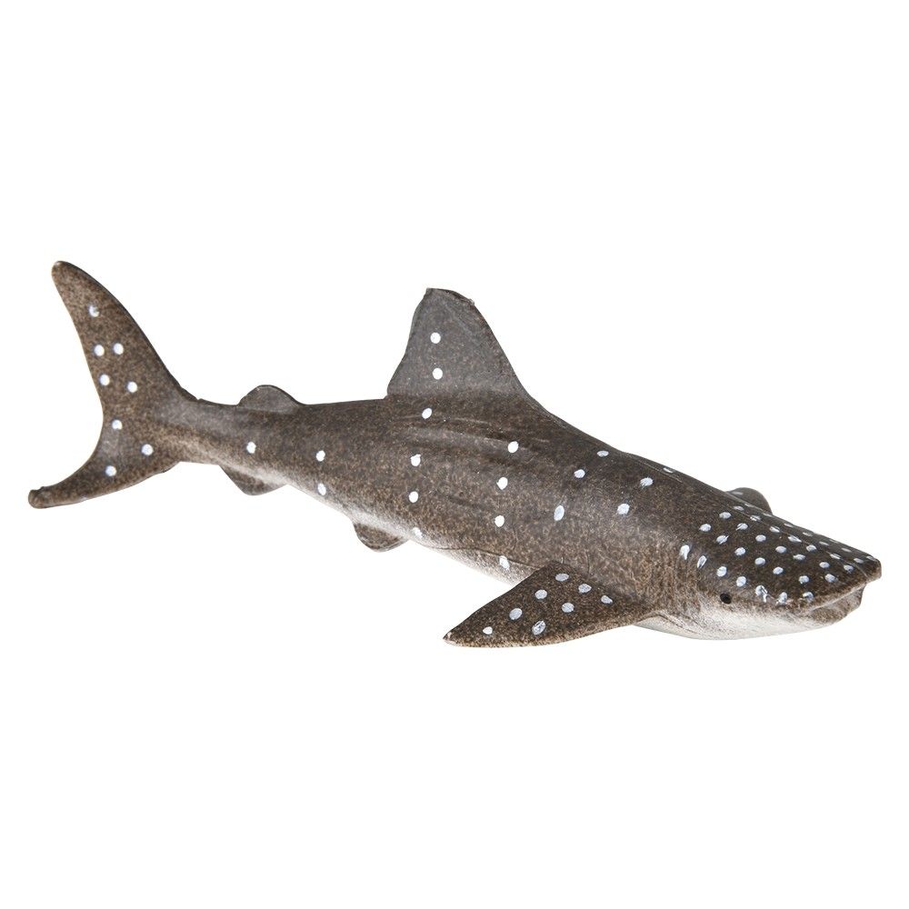 24 Bulk Research Pod Whale And Shark