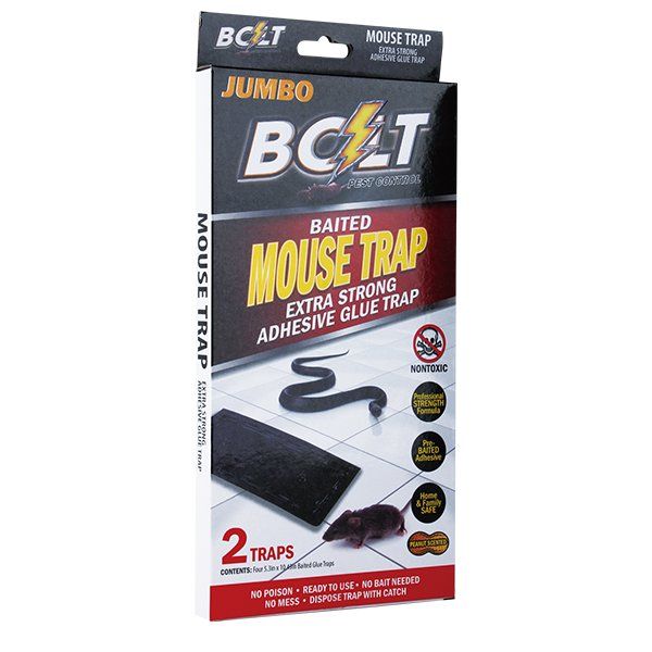 24 Bulk Bolt Pest Mouse Trap 2PK Jumbo Box - at 