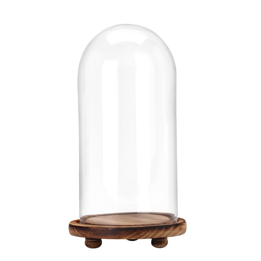 Glass Dome Base 8 Bulk Glass Dome With Wood Base 13 inch - at - bluestarempire.com