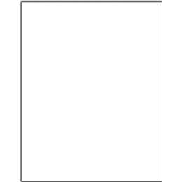 100 Bulk Poster Board 22x28 - White