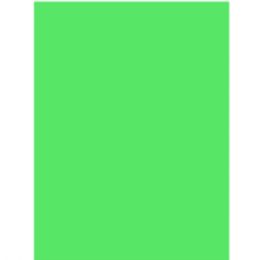 50 Bulk Poster Board 22x28 - Green
