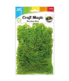 96 Bulk 25g Artificial Moss Light Green