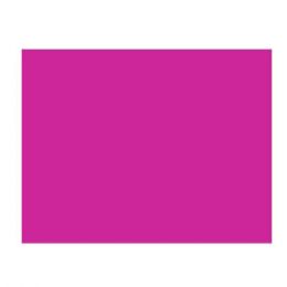 50 Bulk Poster Board 22x28 Magenta