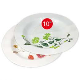 96 Bulk 10"deep Melamine Plate