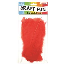 96 Bulk Feather Red