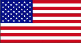 24 Bulk American Flag Polyester