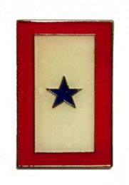 96 Bulk Blue Star Service Flag Brass Hat Pin
