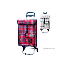 10 Bulk Shopping Cart With Bag