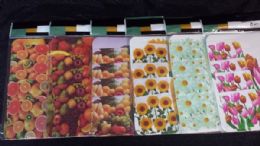 72 Bulk 8 Piece Plastic Placemat And Coaster Set