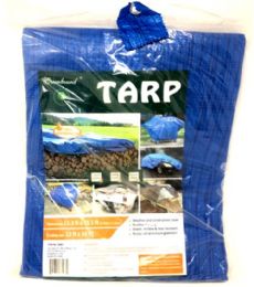 10 Bulk 12x16 Feet Blue Tarp