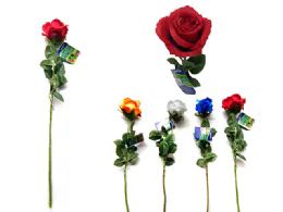 144 Bulk Premium Single Stem Rose Flower