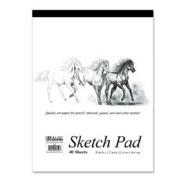 48 Bulk 40 Ct. 9" X 12" Sketch Pad