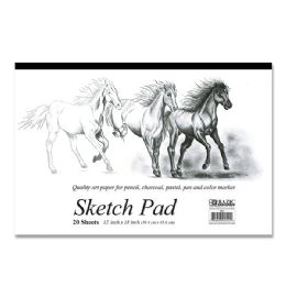 48 Bulk 20 Ct. 18" X 12" Sketch Pad