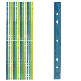 960 Bulk 12 Inch Rulers