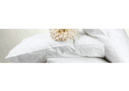 12 Bulk Feather Pillow In Standard Size