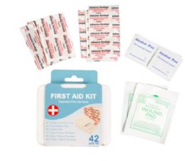 24 Bulk First Aid Kit 42pc In Plastic Case