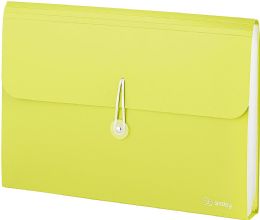 12 Bulk 13-Pocket Letter Size Poly Expanding File, Green
