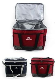 12 Bulk 15x10x12 Insulated Lunch Bag