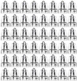 48 Bulk 17 Inch Backpacks For Kids, Clear With Black Trim, 48 Pack