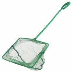 48 Bulk Long Handle Nylon Aquarium Net 4 Inch