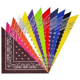 12 Bulk Multicolor Paisley Print Polyester Bandana Set