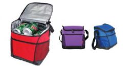 24 Bulk 12 Pack Can Cooler