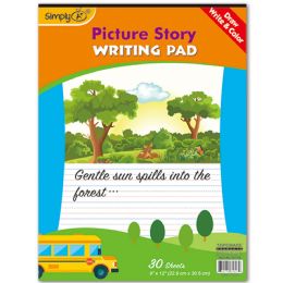 48 Bulk 30ct Picture Story Pad