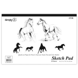 48 Bulk 20ct sketch pad 18x12"