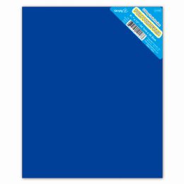 48 Bulk 2-Pockets Poly Portfolio Solid Colors