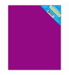48 Bulk 2-Pockets Poly Portfolio Solid Colors