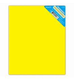 48 Bulk 2-Pockets Poly Portfolio Solid Colors