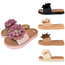 36 Bulk CC Ladies Slipper