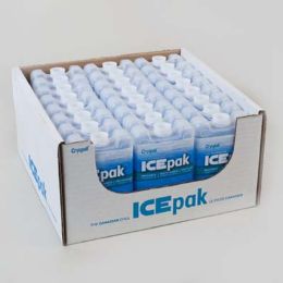 48 Bulk Ice Pak Hard Shell Reusable 3x5in 24pc Pdq